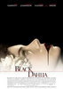 La dalia negra